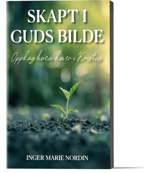 Skapt i Guds bilde - Inger Marie Nordin   